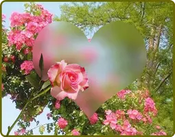 1 (22).webp