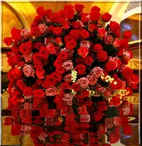 1 (23).webp