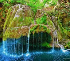 1 (28).webp