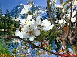 1 (29).webp