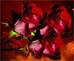 1 (32).webp