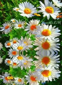 1 (72).webp