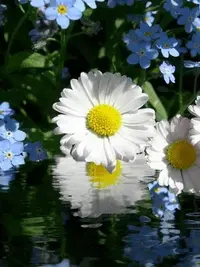 1 (74).webp