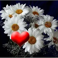 1 (78).webp