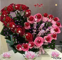 1 (35).webp