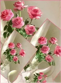 1 (36).webp