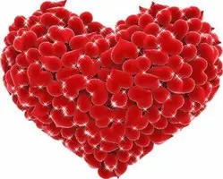 1 (42).webp