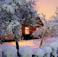 1 (47).webp