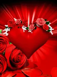 1 (50).webp