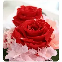 1 (57).webp