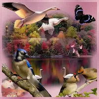 1 (65).webp