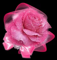 1 (68).webp