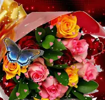 1 (81).webp