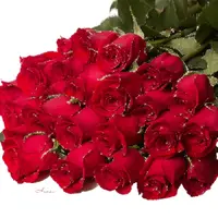 1 (83).webp