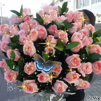 1 (86).webp
