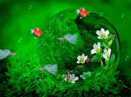 1 (91).webp