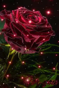 1 (92).webp