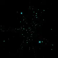 1 (93).webp