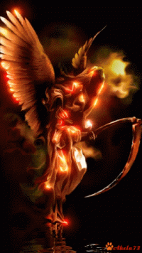 1 (12).gif