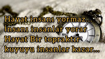 1 (18).jpg