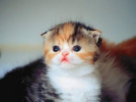 1 (26).jpg