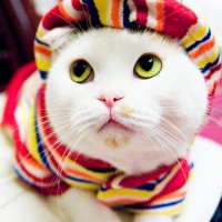 1 (54).jpg