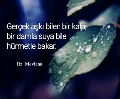 Mevlana 1.jpg