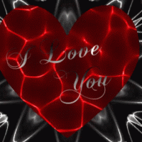 gif 10.gif