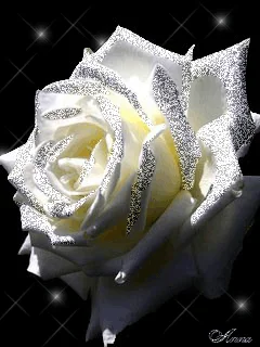 1 (56).webp