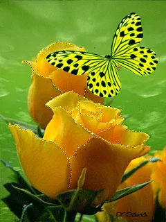 1 (59).webp